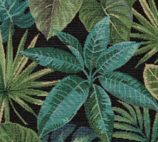 MONSTERA černá