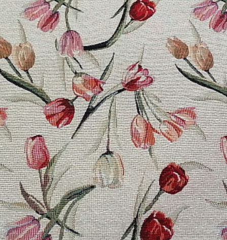 TULIPÁNY