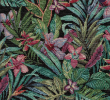 JUNGLE